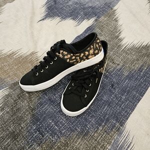 Keds Kickstart Canvas Sneakers